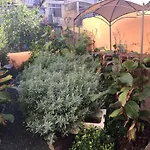 Amazing Vintage Flat With Shared Garden In Principe Real Lisbon